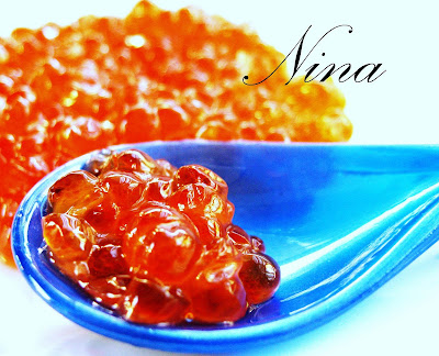 NINA'S RECIPES&hellip;..: WELCOME 2010! - OUR NEW YEARS EVE DINNER -2009 - 2010-