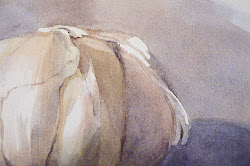 masking fluid basics watercolor removed notice nice painting right