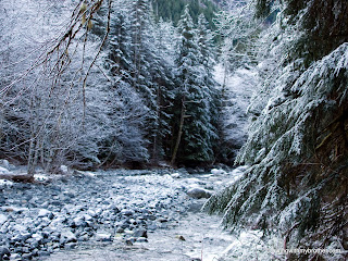 otter falls taylor river hikingwithmybrother