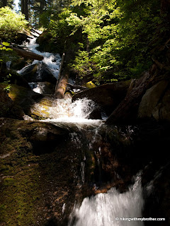 scout lake hikingwithmybrother