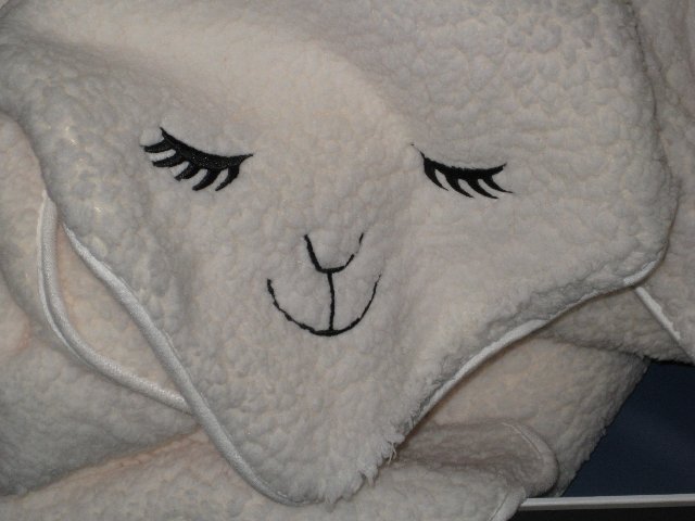 [Picture+011_640x480.jpg]