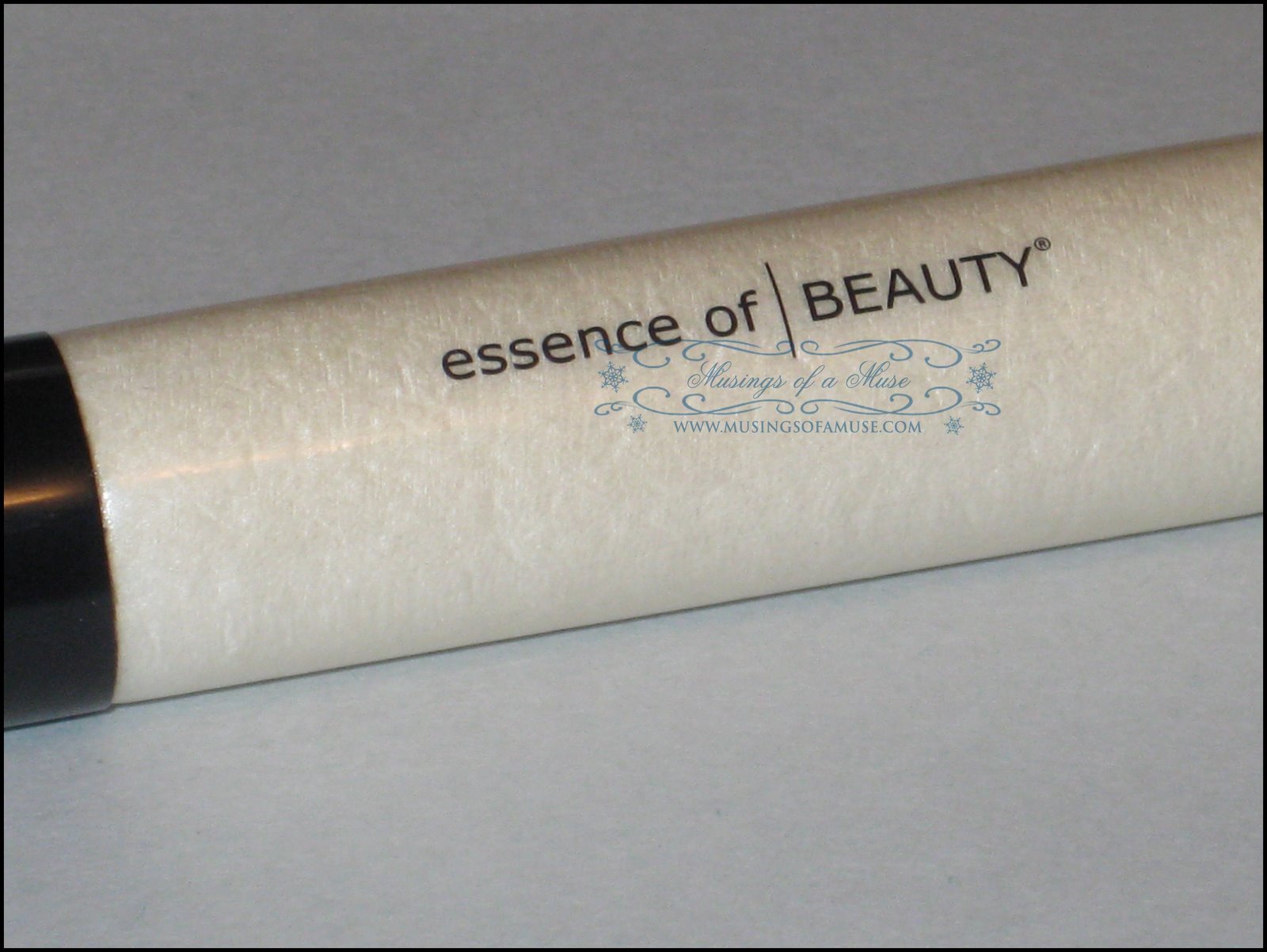 [Essence+of+Beauty+Blender+Brush+2.jpg]