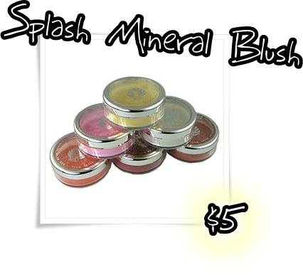 [Summer+Cosmetics+Budget+d_4277.jpg]