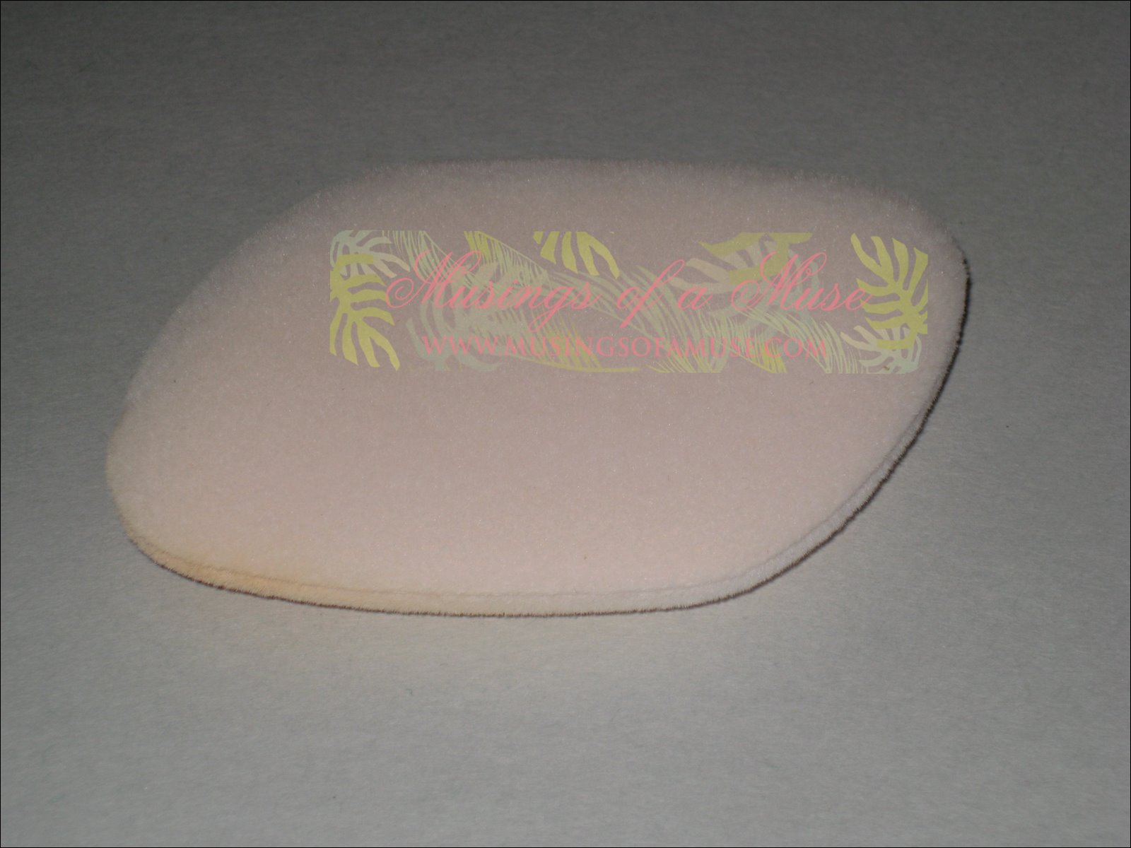 [Flock+Sponge+4.JPG]