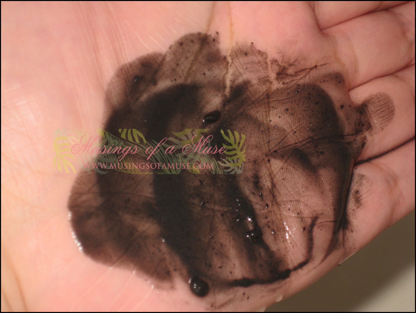 [Lush+Dark+Angels+Cleanser+011.JPG]