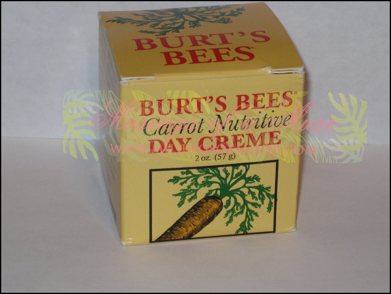 [Burt's+Bees+Carrot+Nutritive+Day+Creme+1.jpg]