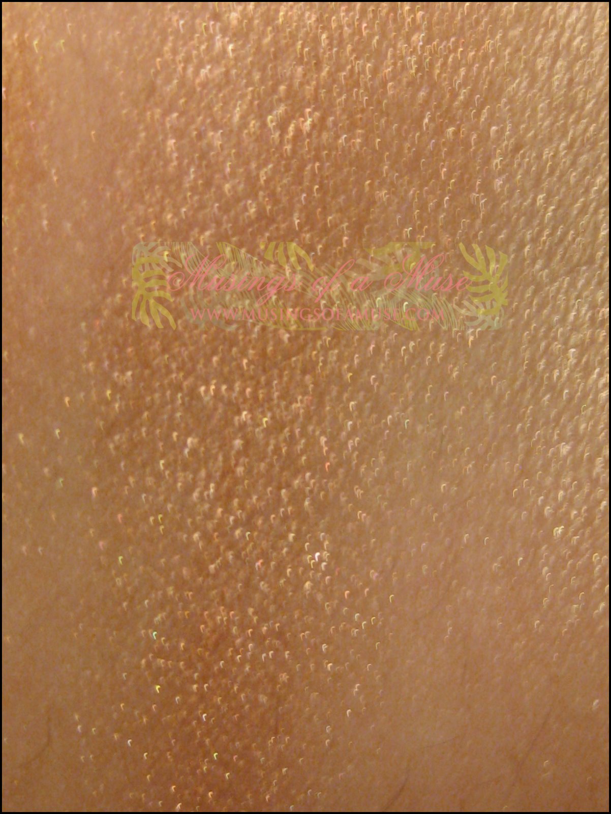 [Sumer+Eyeshadows+010.JPG]