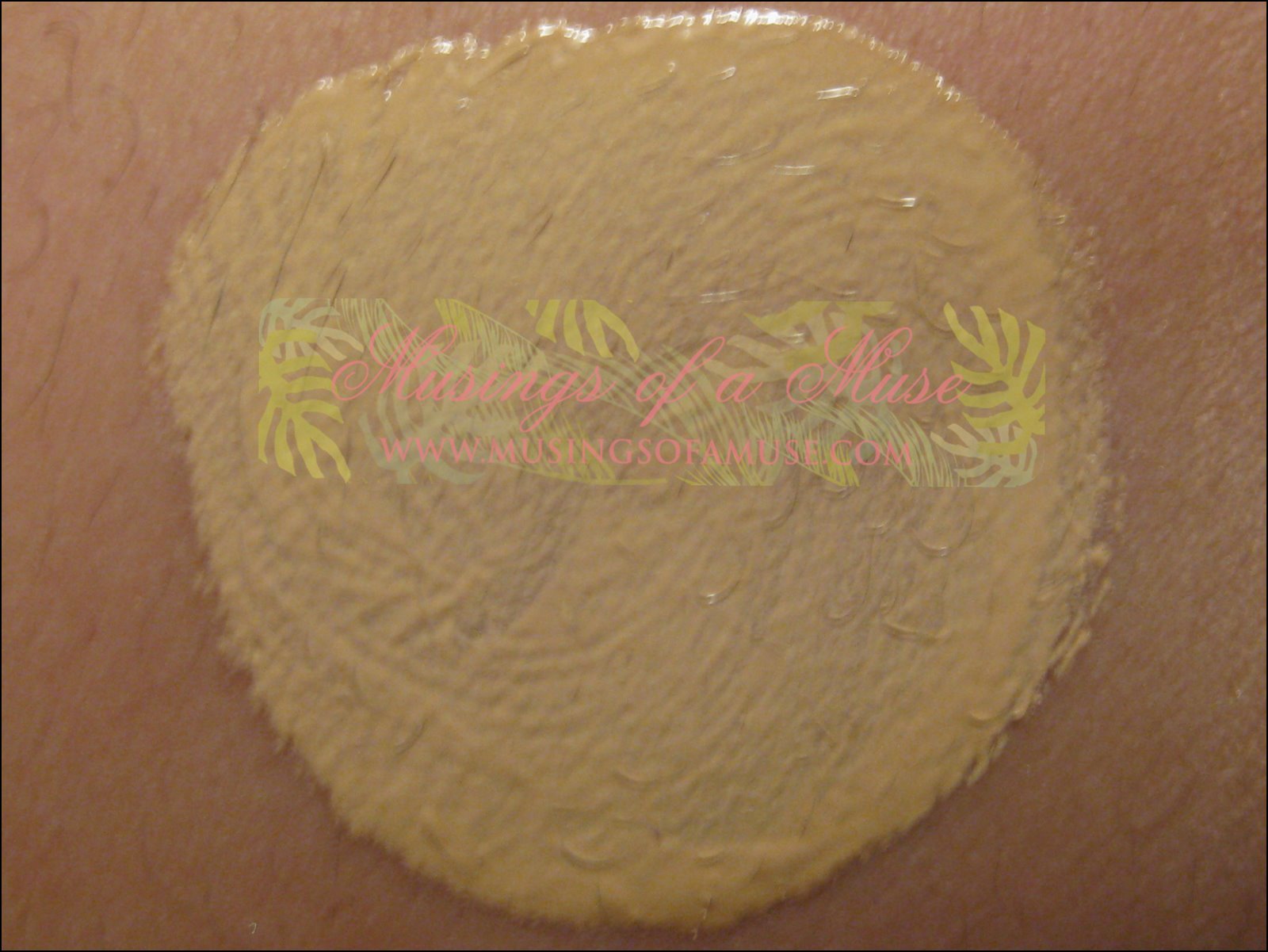 [DHC+Rose+Beauty+Gel+Foundation+12.jpg]