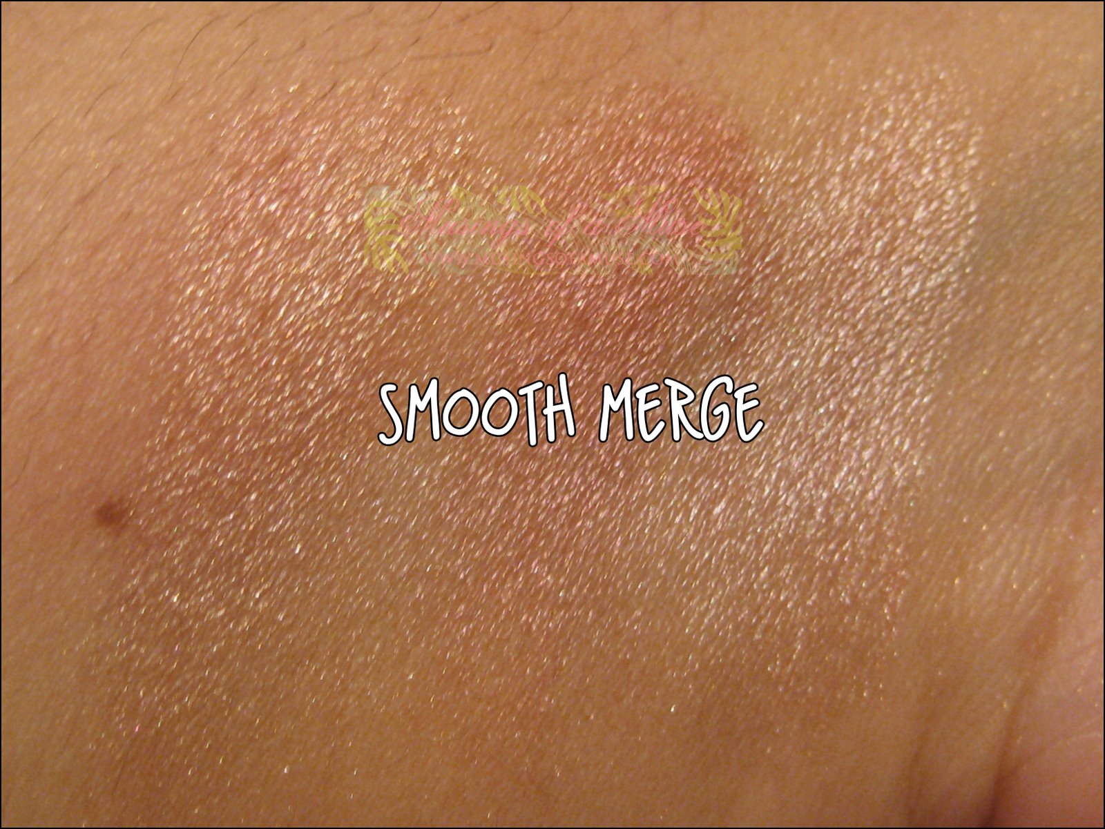 [MAC+Colour+Craft+MAC+Mineralized+Skinfinish+42.JPG]