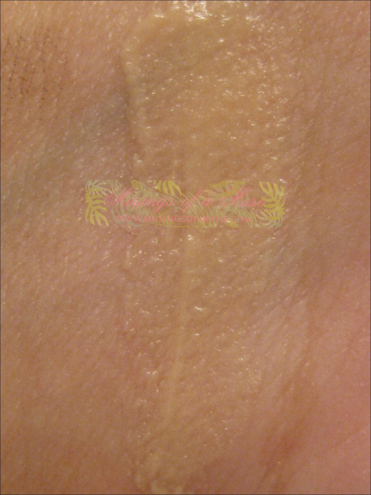 [Too+Faced+Primed+and+Poreless+8.JPG]