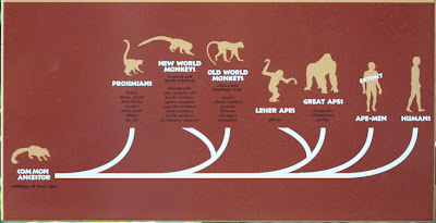 The Obligate Scientist: Evolution at the zoo