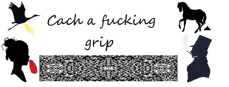 Cach a fucking grip