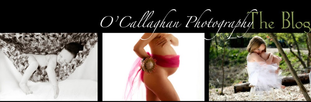 O'Callaghan Photography