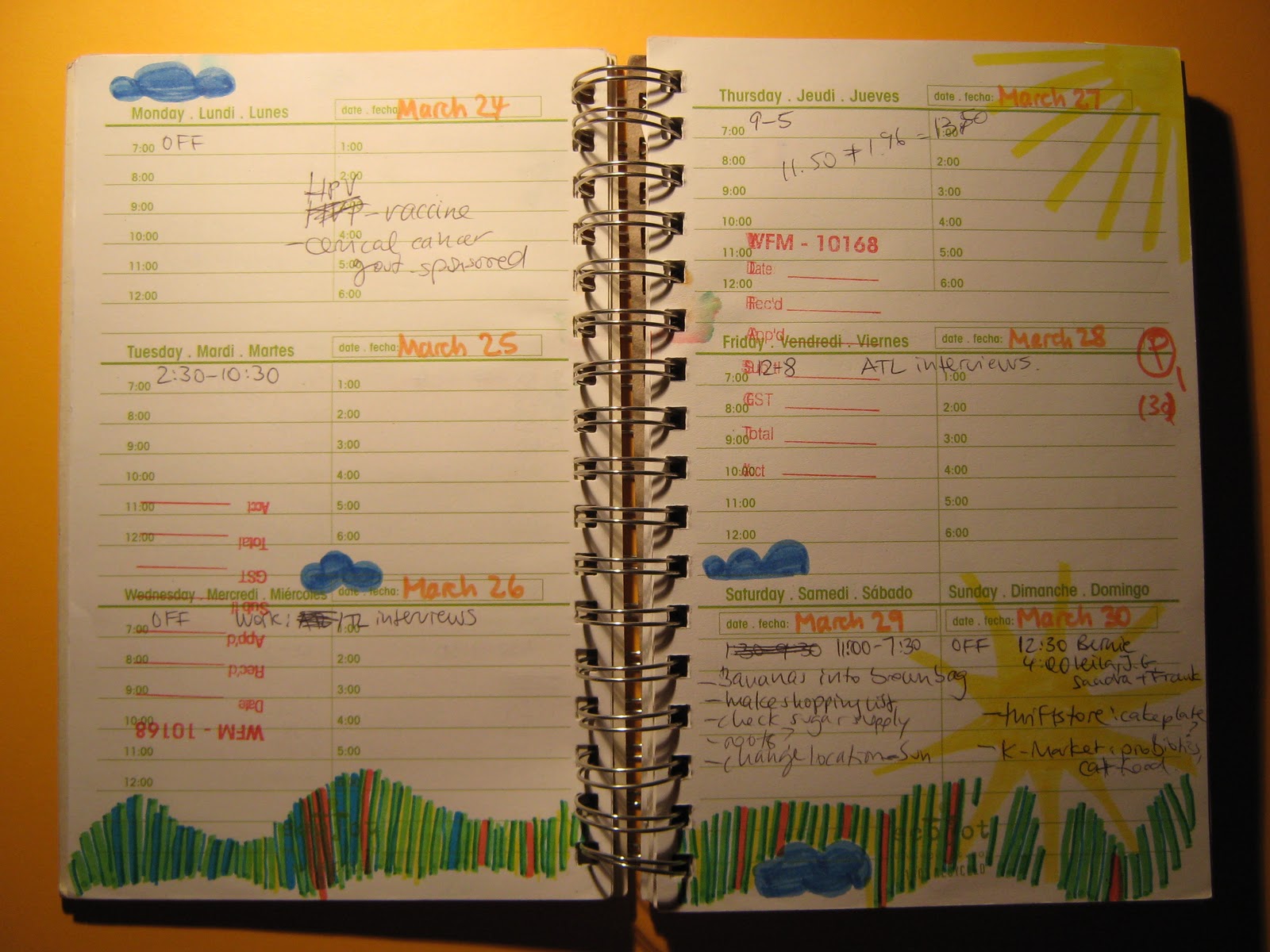 Plannerisms: Guest post: Christine reviews the Ecojot Planner!