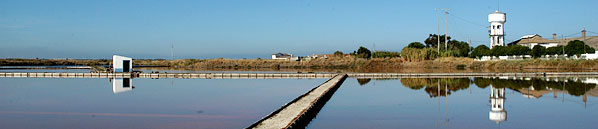 SALINAS DE ALCOCHTE