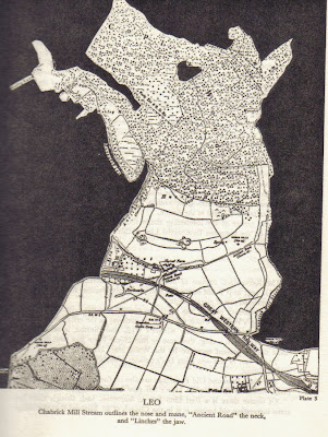 Area Area
