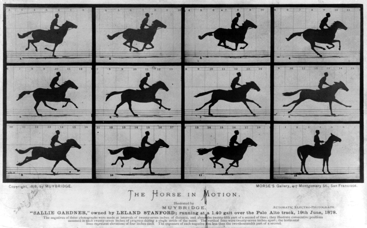 [4+The_Horse_in_Motion+1878.jpg]