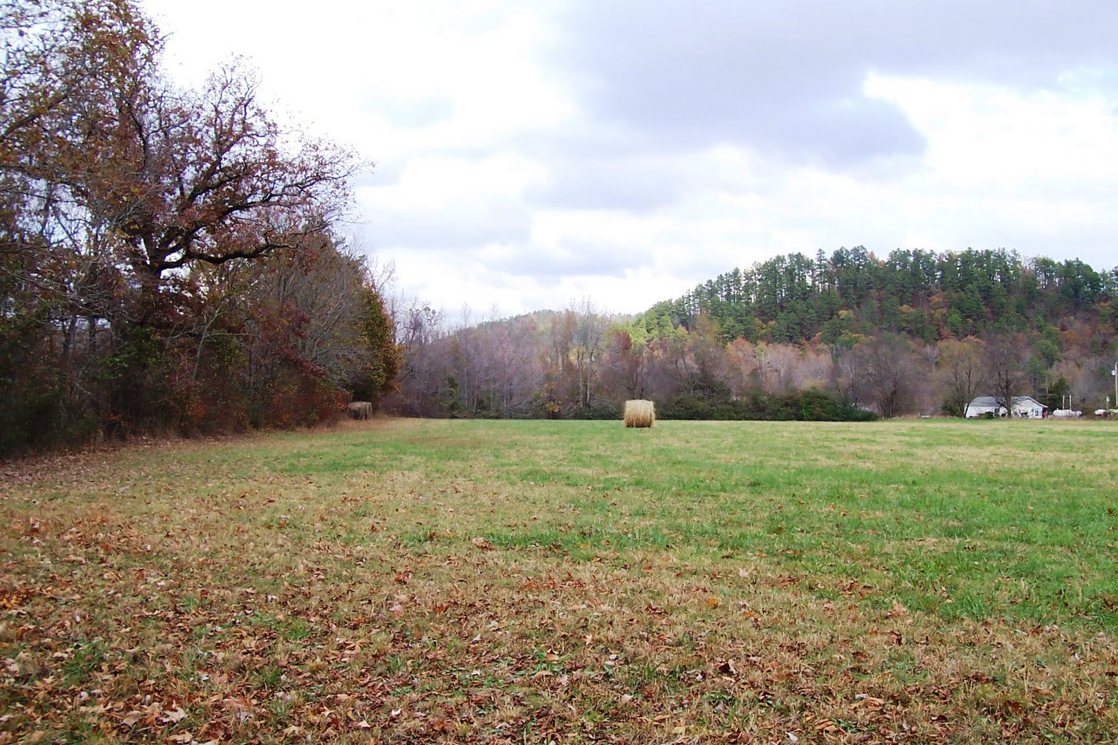 Big Fork, Arkansas Bates Grist Mill