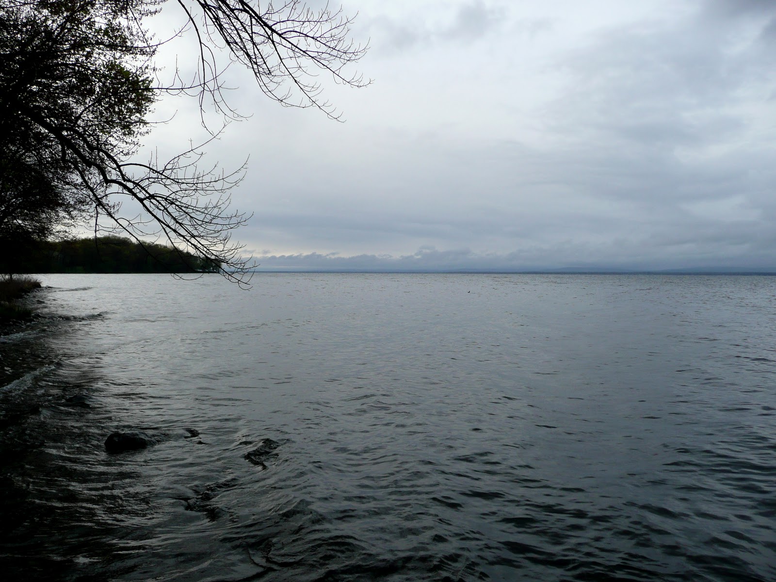 Oneida Lake Chronicles N. Shore of Oneida Lake This Morning 730 am