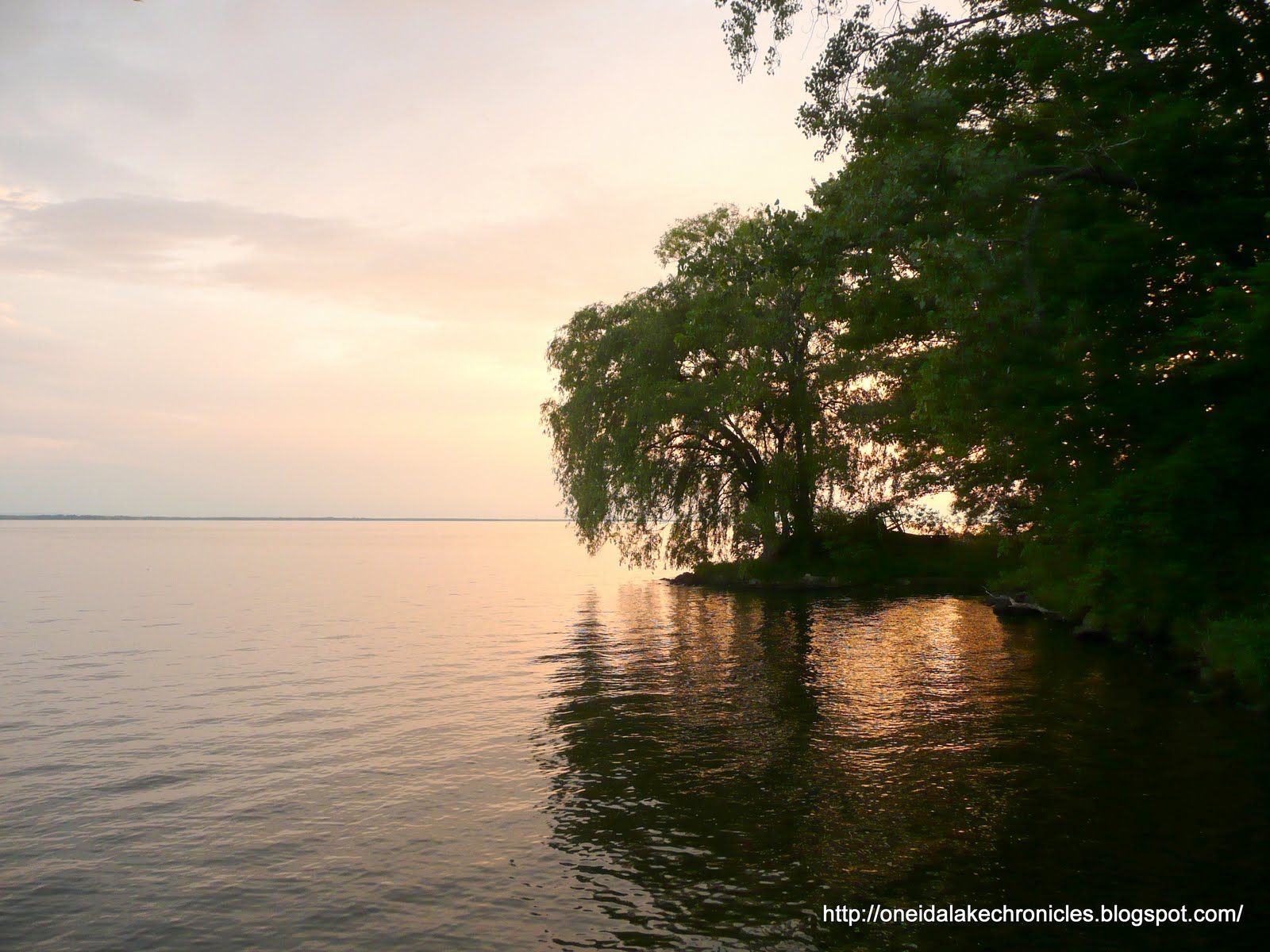 Oneida Lake Chronicles