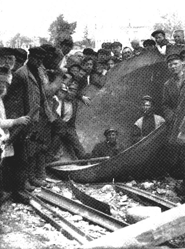 [hernandez_fig01b.jpg]