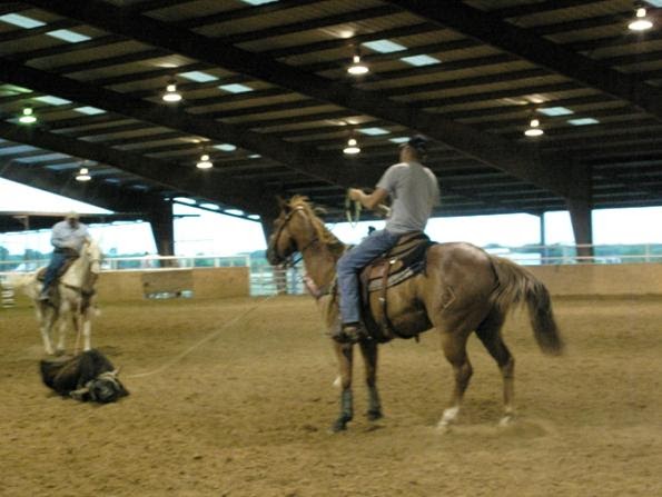 Terrell Daily Photo: Roping fun at Wade Arena, Terrell, Texas Terrell Daily Photo: Roping fun at Wade Arena, Terrell, Texas