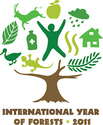 2011 AÑO INTERNACIONAL DE LOS BOSQUES