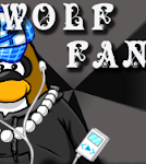 Wolf509