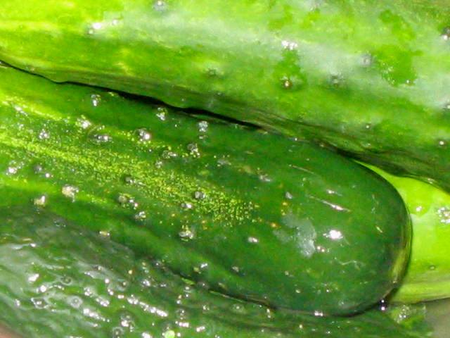 [pickled+cucumbers+006.jpg]