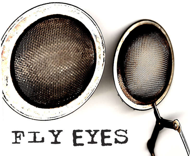 [Fly+Eyes+copy.jpg]