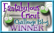 Fantabulous Cricut Challenge Blog