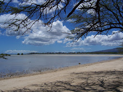 Oahu Beach