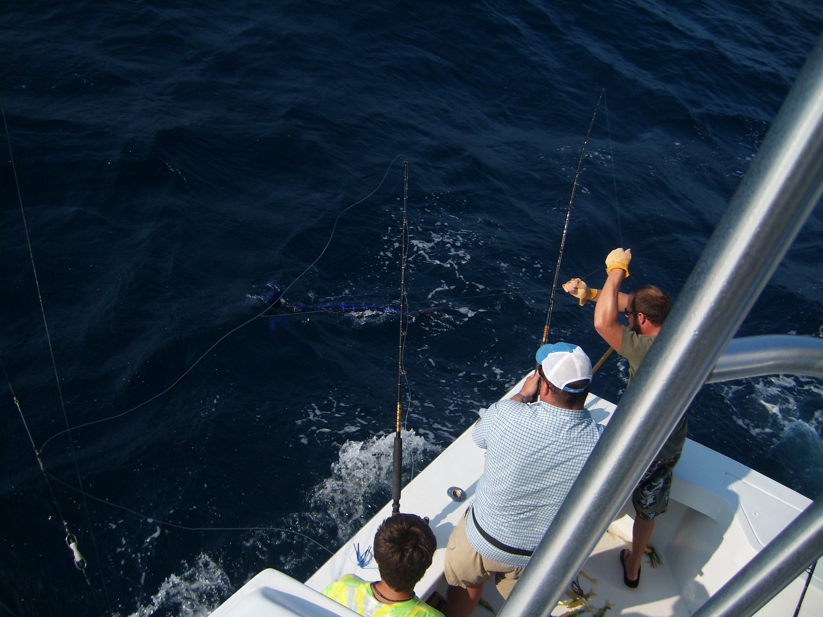 Outer Banks Fishing Charter 8/20/10 Reeling in a White Marlin
