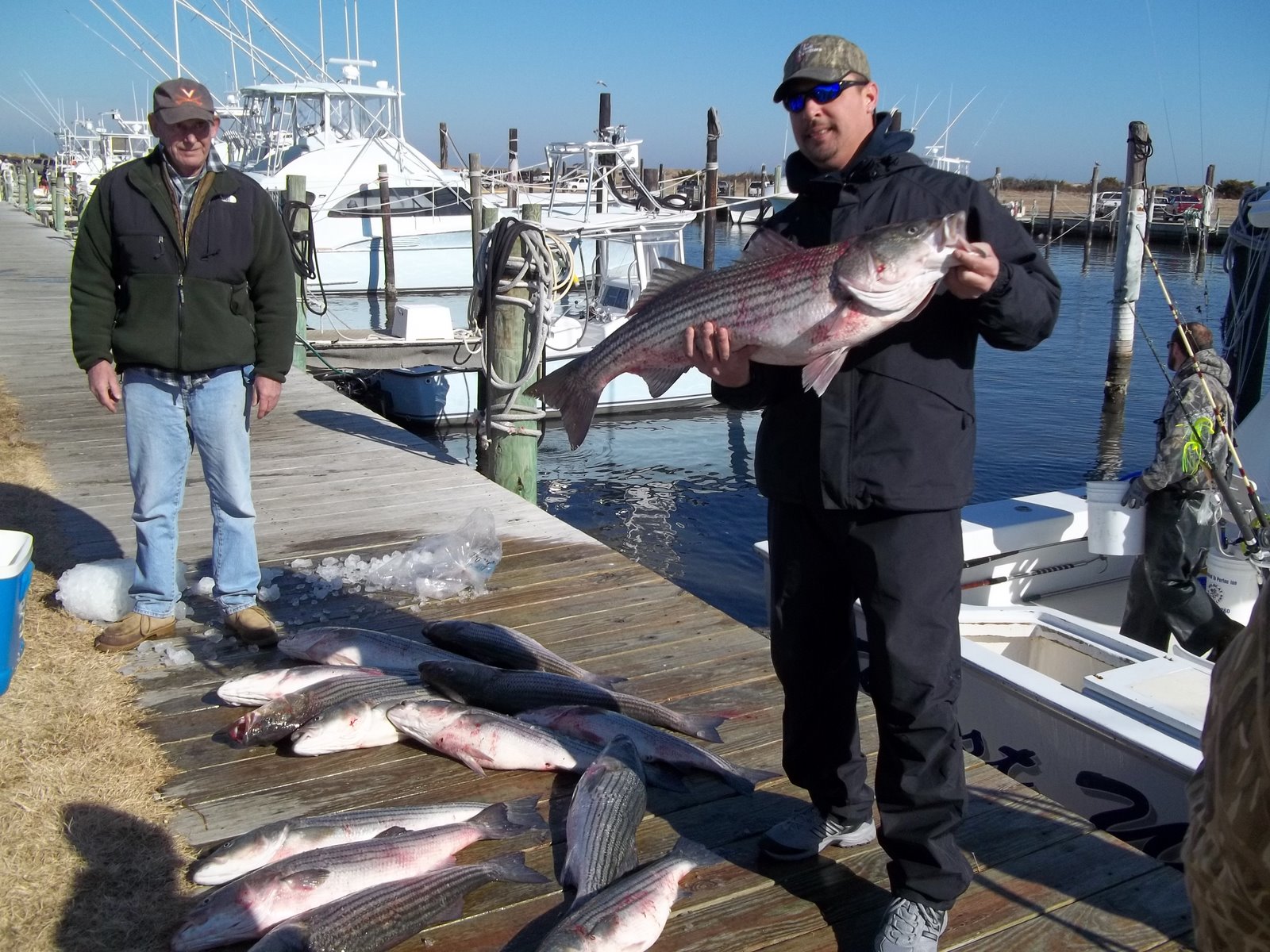 Outer Banks Fishing Charter Stripers are here!