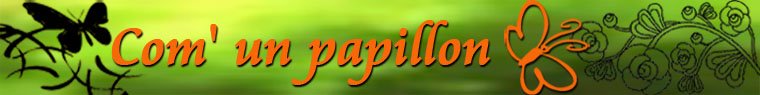 Com' un papillon