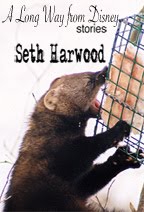 [LongWayDisney2.jpg]