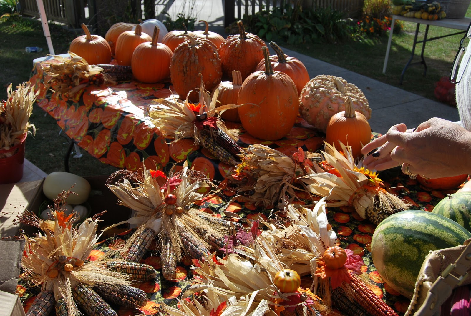 42N Observations Fall Farmers Market in Tipton Iowa