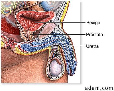 Prostatita: Nu Oferi Sex. Urologie