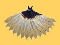 Posted Image