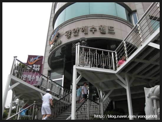 [haesuworld2.jpg]
