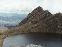 Páramo de Chingaza