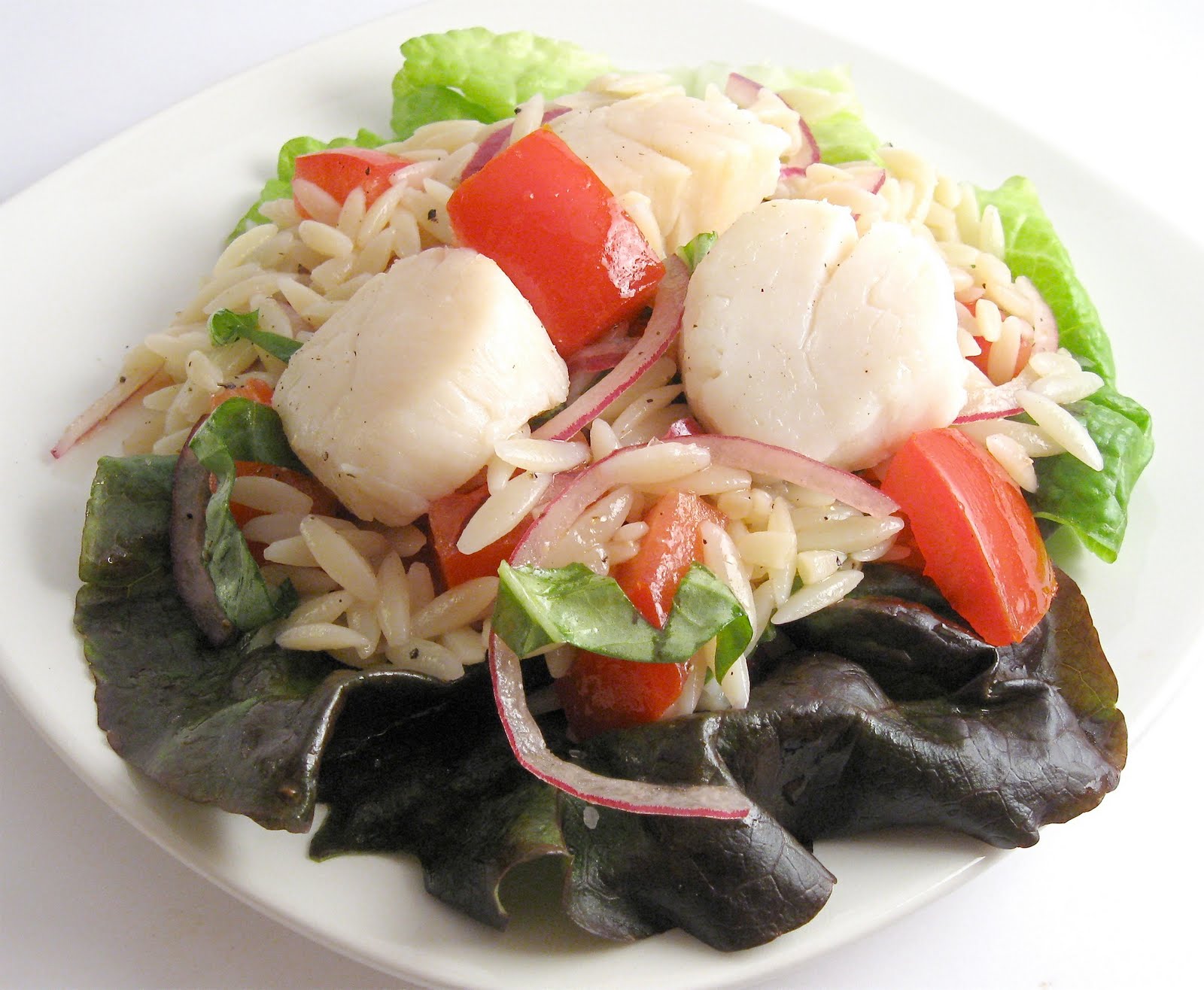 Scallop and Orzo Salad The Cookware Review