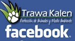 Trawa Kalen en Facebook