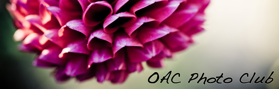 OAC Photo Club