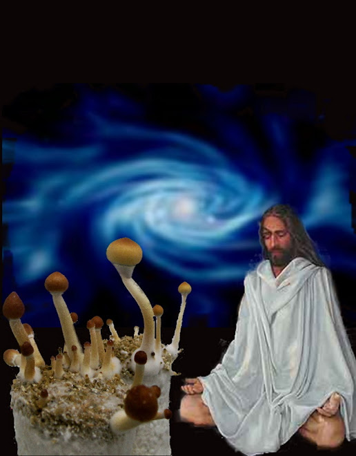 Jesus and the Magic Mushroom