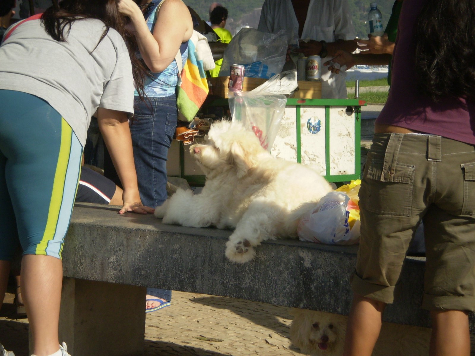 [Meu+aniversario+037.jpg]