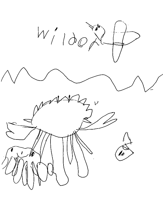 [Crabs321.jpg]