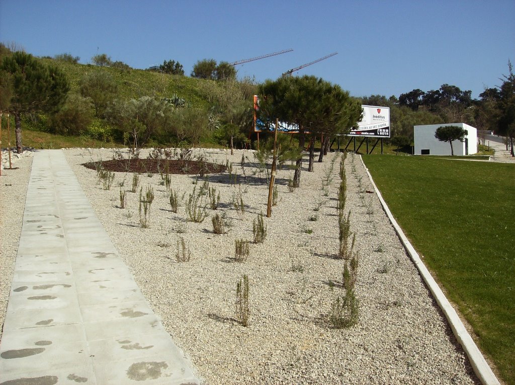 [Jardim+D.Manuel+I+(4).JPG]