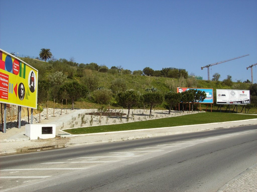 [Jardim+D.Manuel+I+(3).JPG]