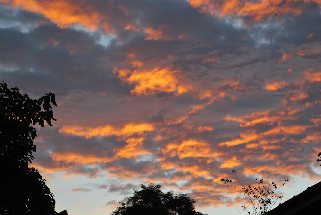 an arushan evening sky, our home, june 10, 2009